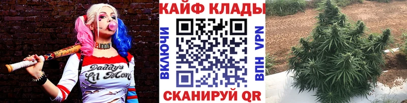 Хочу наркоту Пустошка Канабис hydra ссылка Гашиш Амфетамин Метадон ТГК