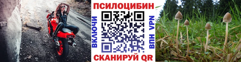 сколько стоит Пустошка Галлюциногенные грибы мухоморы